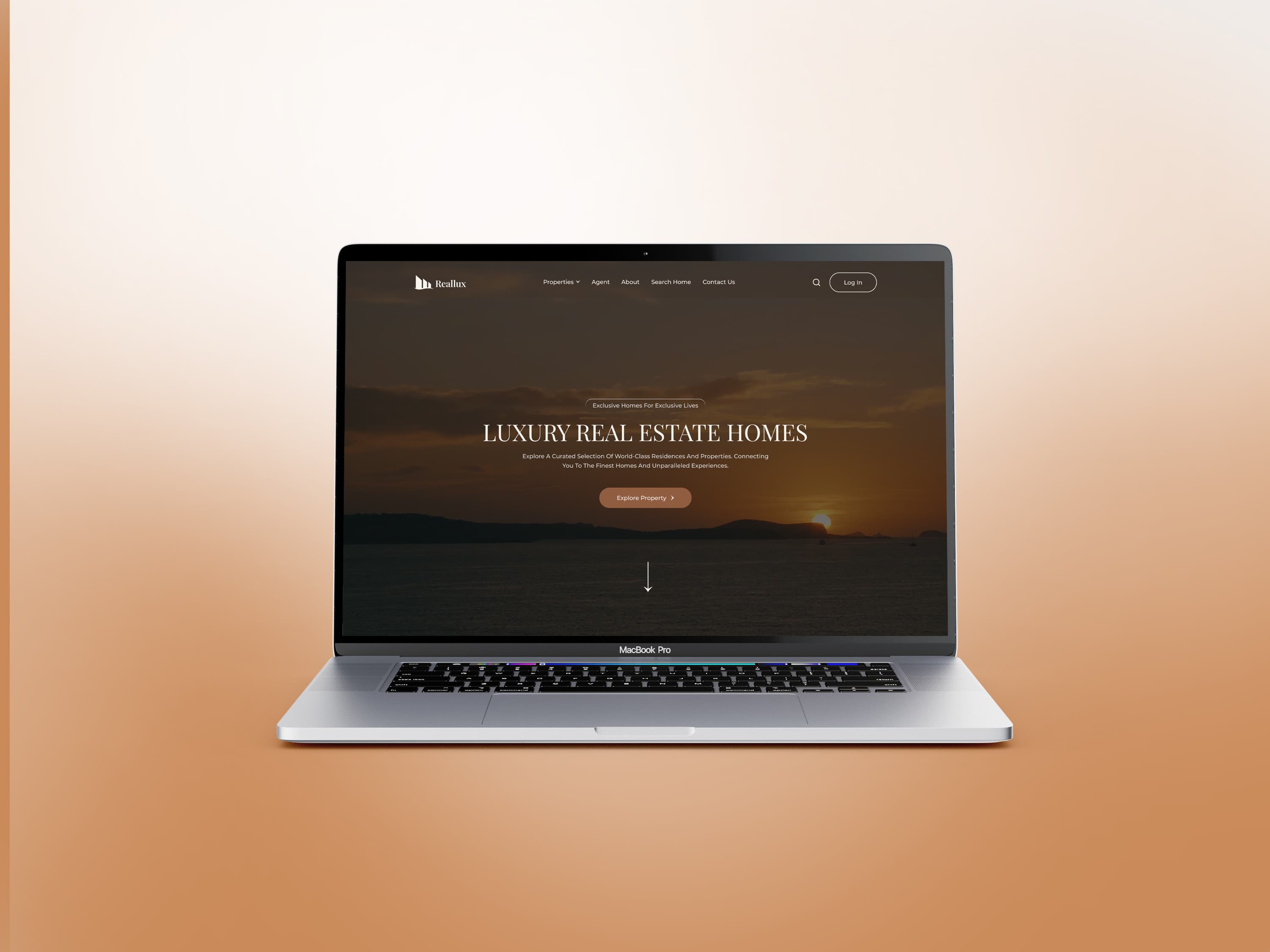 web development